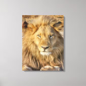 IMPRESSION DE CANVAS STRETCHÉS DE LION MASCULE (Recto)