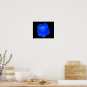 Impression de Capucine Bleue (Cuisine)