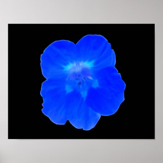 Impression de Capucine Bleue (Devant)
