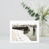 Impression de carte postale de loup abordable (Debout devant)