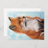 Impression de carte postale de renard  (Devant / Derrière)