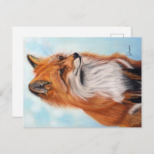 Impression de carte postale de renard  (Devant / Derrière)