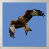 Impression de cerf-volant rouge en forte progressi (Devant)