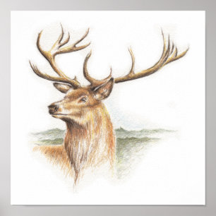 Impression de cerfs de stade