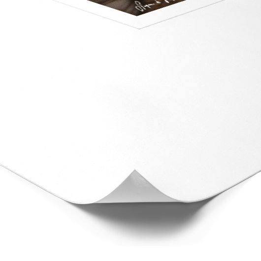 Impression de chasseur d'aigle (Coin)