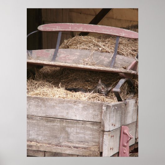 Impression de chat dans Hay Wagon (Devant)