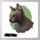 Impression de chat Donskoy | Impression murale de  (Devant)