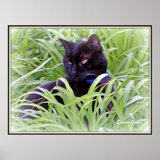 Impression de chat noir de Bombay (Devant)