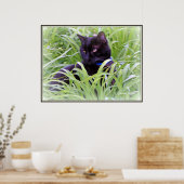 Impression de chat noir de Bombay (Cuisine)