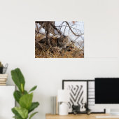 Impression de chat sauvage en forêt d'hiver (Bureau à domicile)