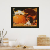 Impression de chaton, citrouille et chiot (Cuisine)