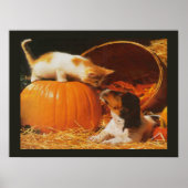 Impression de chaton, citrouille et chiot (Devant)