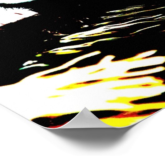 Impression de chatons (Coin)