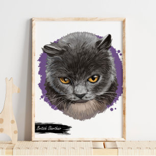 Impression de chats courts britanniques Impressi