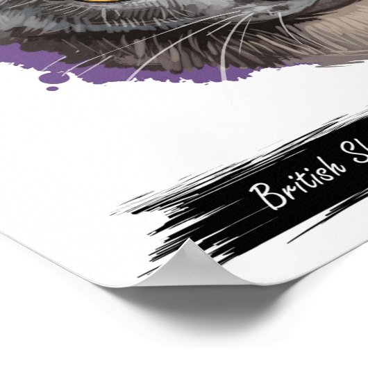 Impression de chats courts britanniques | Impressi (Coin)