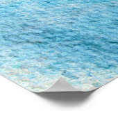 Impression de chickadé noir plafonné (Coin)