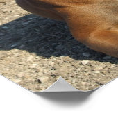 Impression de Chien Chien Chien Chien Cochon (Coin)