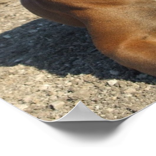 Impression de Chien Chien Chien Chien Cochon (Coin)