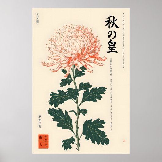 Impression de Chrysanthème Japonais sur Mur de Sty (Devant)