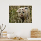 Impression de cochon mignon (Cuisine)