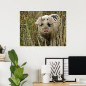 Impression de cochon mignon (Bureau à domicile)