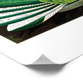 Impression de colibri d'Ernst Haeckel (Trochilida) (Coin)