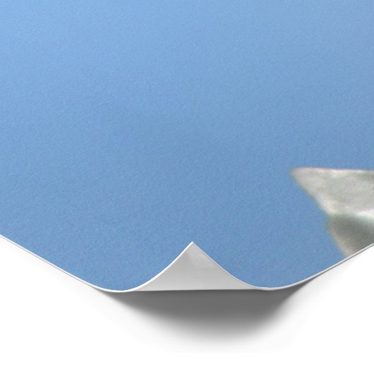 Impression de colombe en série (Coin)