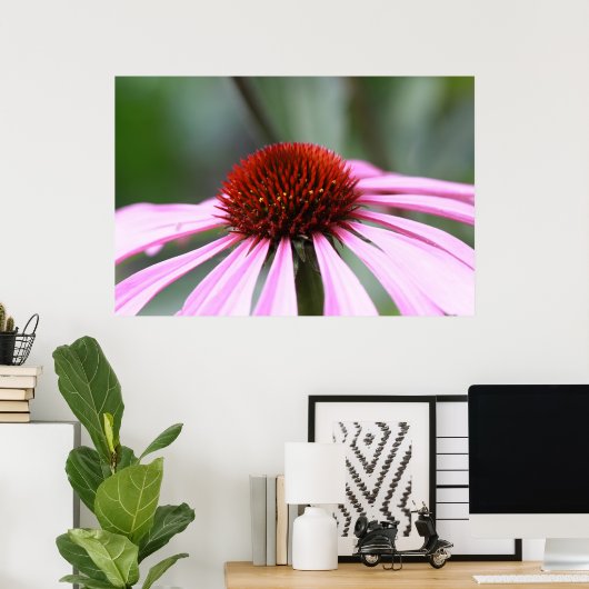 Impression de coneflower violet (Bureau à domicile)