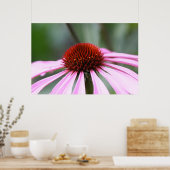 Impression de coneflower violet (Cuisine)