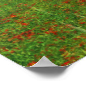 Impression de conflit oubliée (Coin)