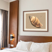 Impression de coques de conches rayées Brown et en