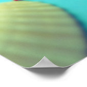 impression de coquille (Coin)