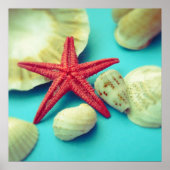 impression de coquille (Devant)