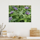 Impression de Cornfleurs (Cuisine)