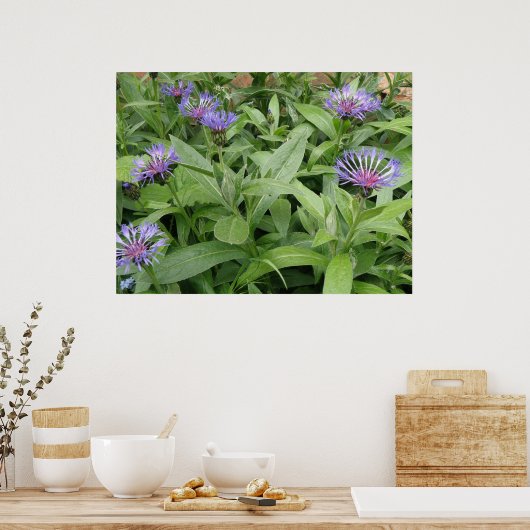 Impression de Cornfleurs (Cuisine)