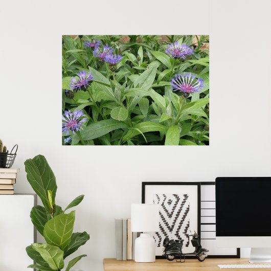 Impression de Cornfleurs (Bureau à domicile)