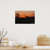 Impression de coucher de soleil Acacia (Cuisine)