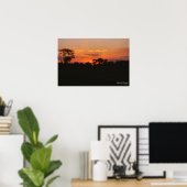 Impression de coucher de soleil Acacia (Bureau à domicile)