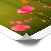 Impression de Cristina Ghelfi (Coin)