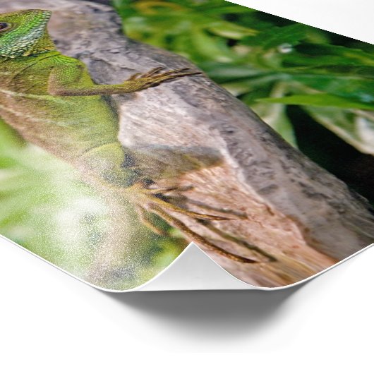 Impression de dragon d'eau chinois (Coin)