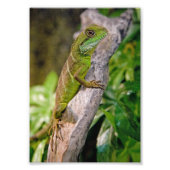 Impression de dragon d'eau chinois (Devant)