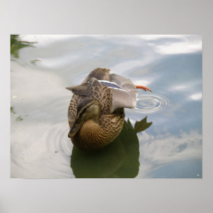 Impression de Duck Lake