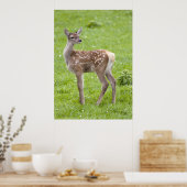 Impression de faon de cerf rouge (Cuisine)