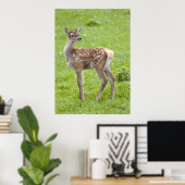 Impression de faon de cerf rouge (Bureau à domicile)