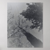 IMPRESSION DE FEUILLE D'ART ET DE DESIGN (Recto)