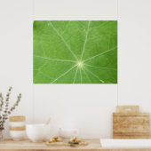 Impression de feuilles Nasturtium (Cuisine)