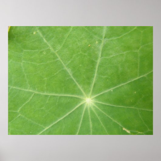 Impression de feuilles Nasturtium (Devant)
