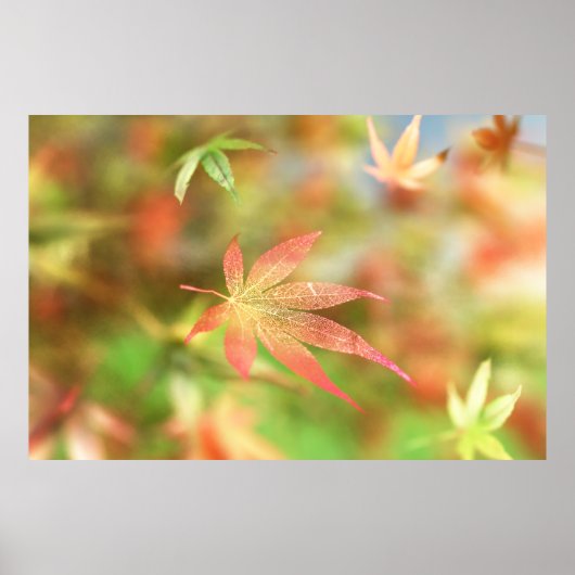 Impression de filigrane d'automne (Devant)