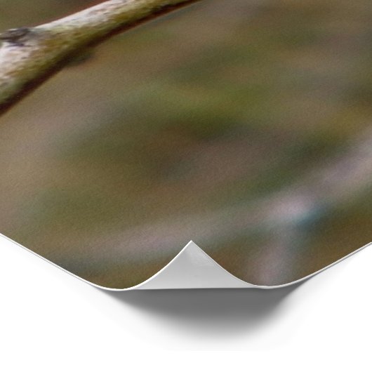 Impression de finition violette (Coin)