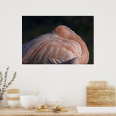 Impression de flamant rose dormant (Cuisine)